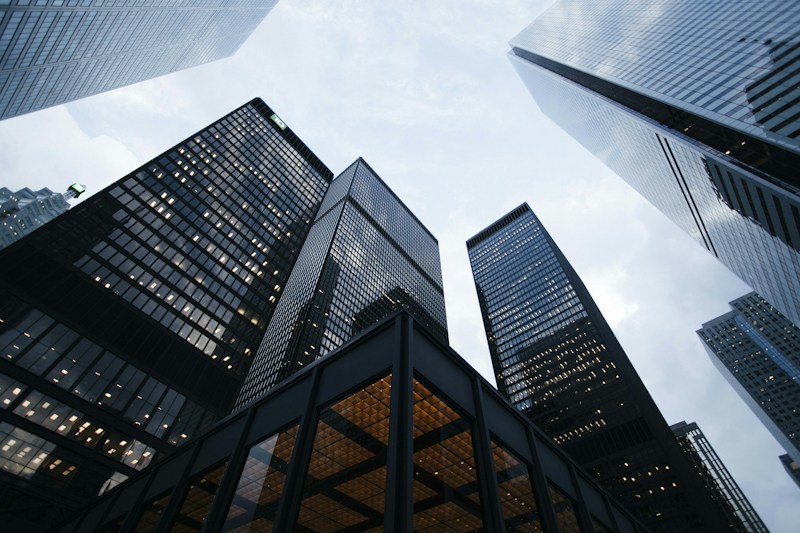 Investors & Business Partners