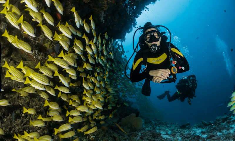 Discover Red Sea Tourism Project